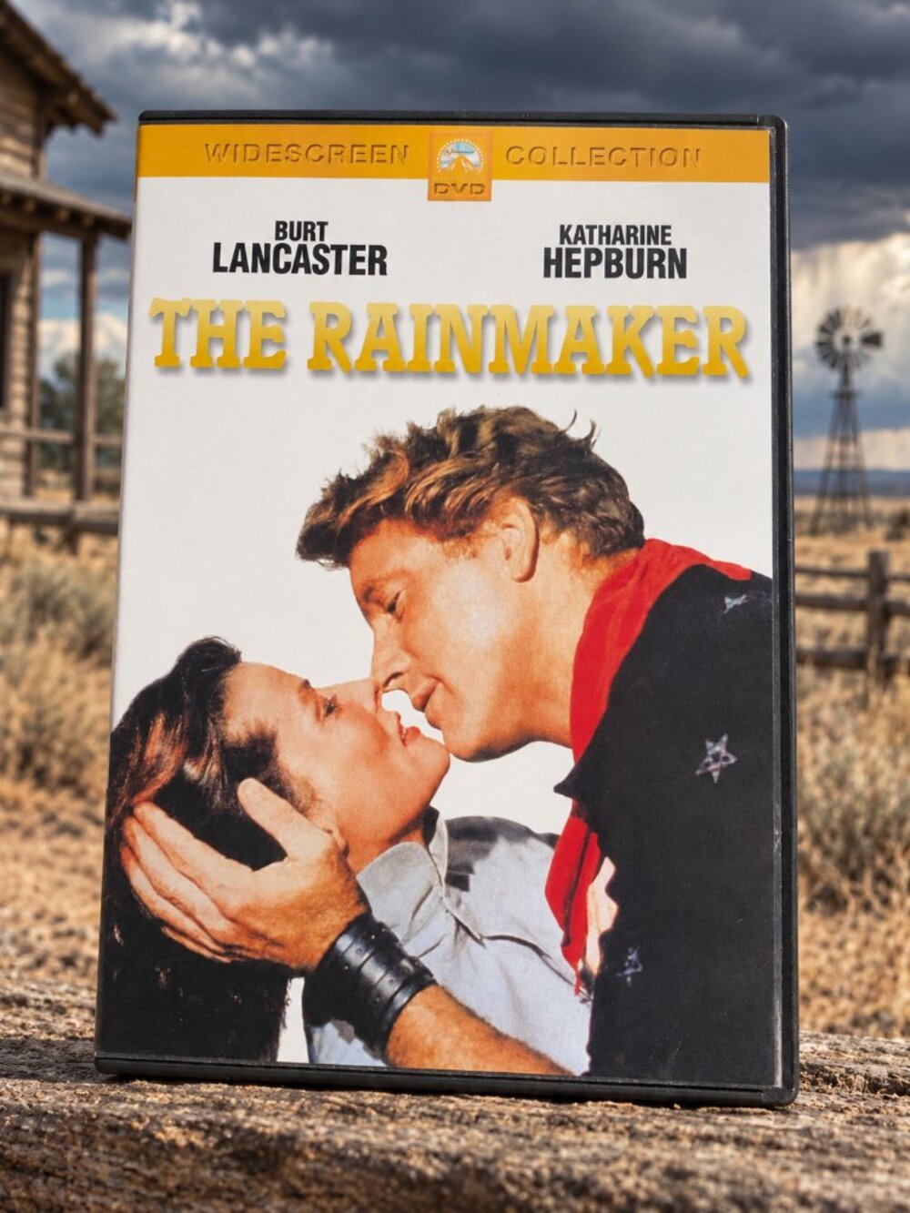 The Rainmaker (DVD, Region 1) Very Good condition from personal collection!
